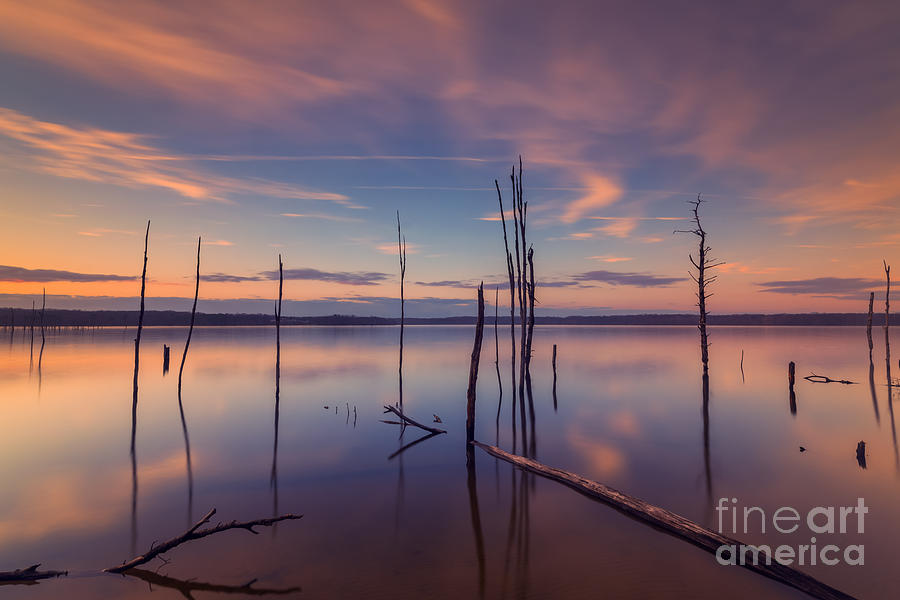 Sunset Photograph - Barren Water Forest  by Michael Ver Sprill