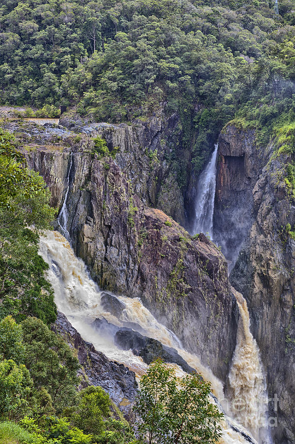 Barron Falls In Queensland Australia Photograph by Wendy Townrow