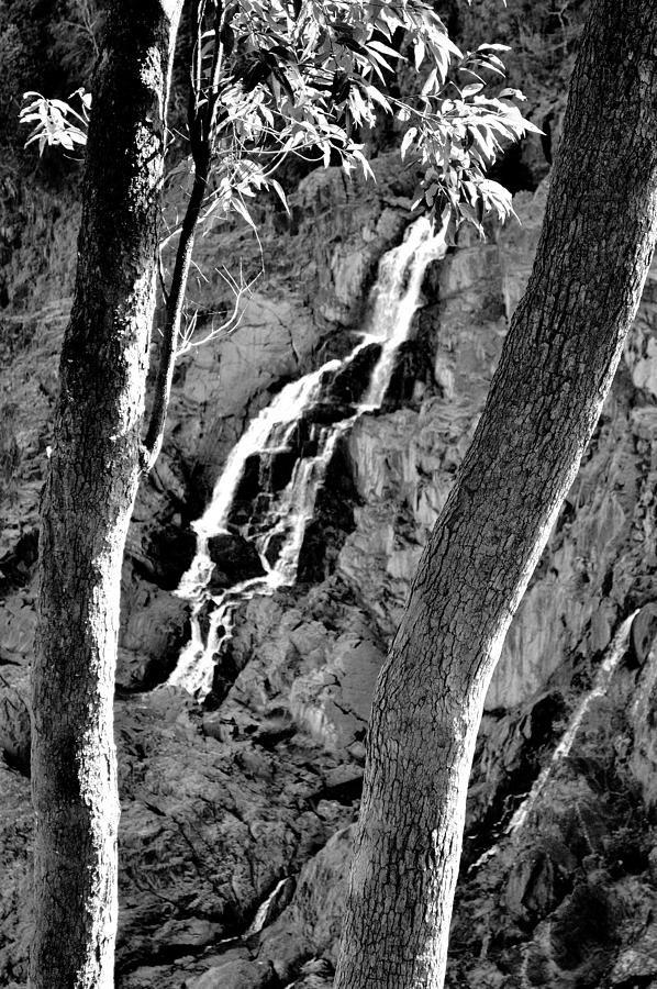 Barron Falls - Karunda Rainforest - Australia Photograph by Jeremy Hall