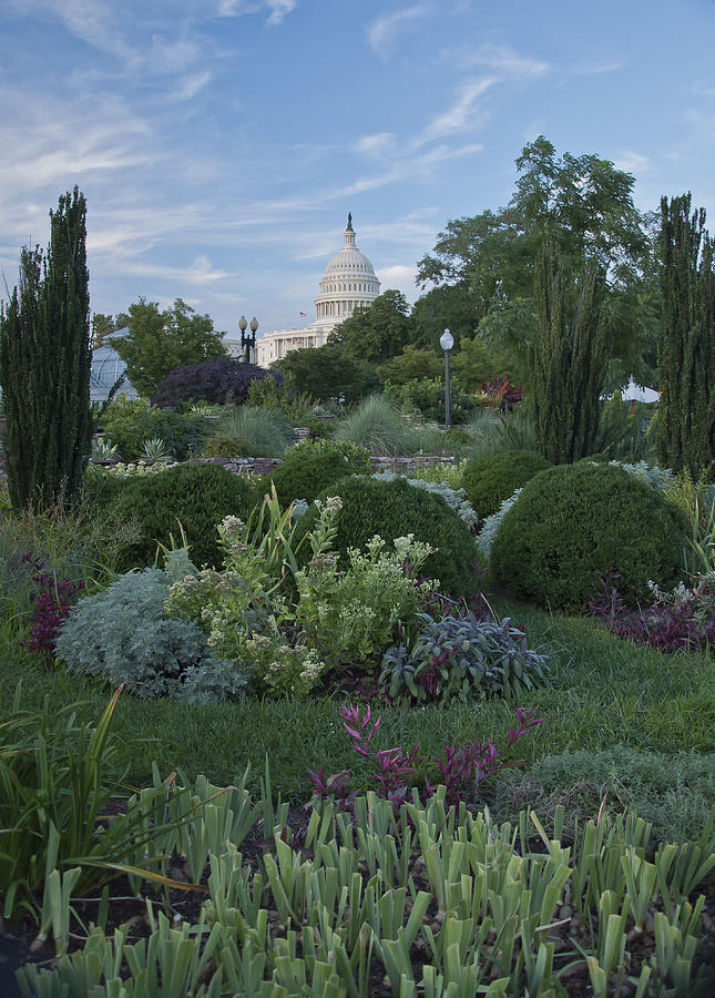Bartholdi Garden Photograph by Valerie Brown - Fine Art America