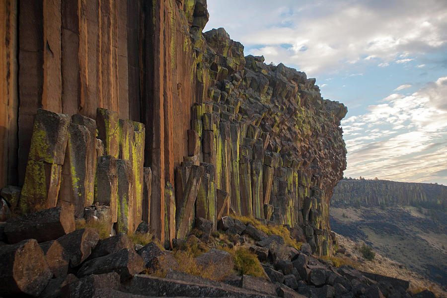 Basalt Columns Photograph by Colin Brynn