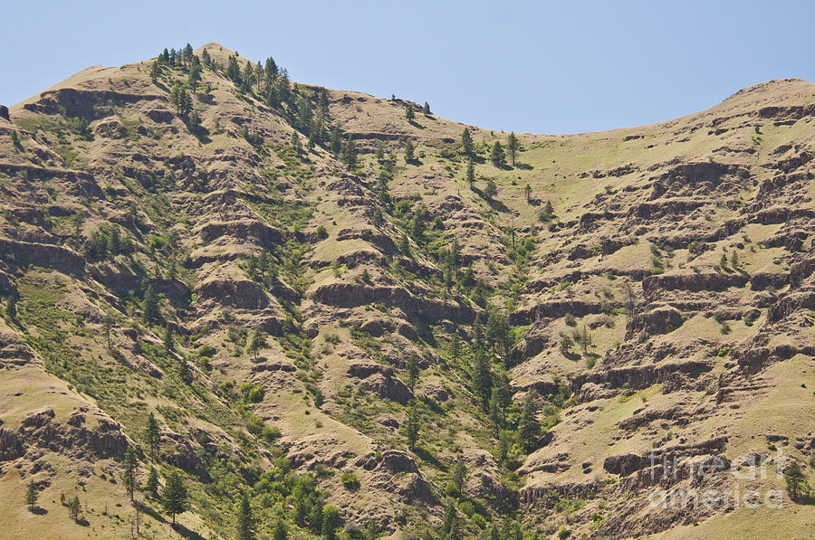 Basalt Flows, Imnaha, Oregon Photograph by William H. Mullins