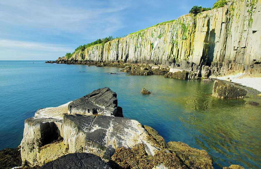 Basalt Rock Cliffs, Bay Of Fundy  Brier Photograph by Dave Reede