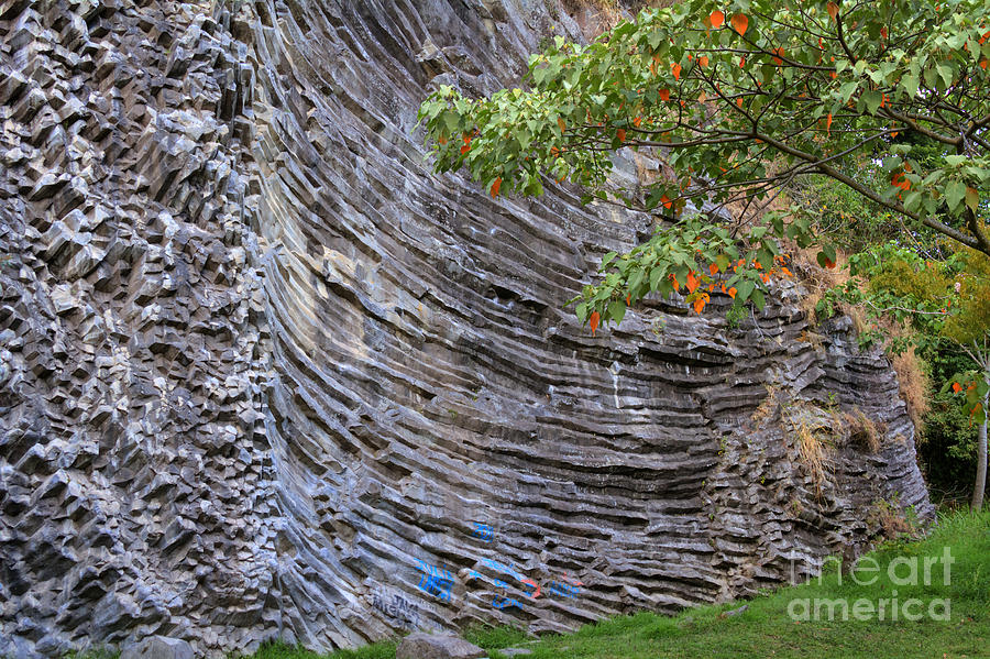 Basalt Wall Photograph by Heiko Koehrer-Wagner