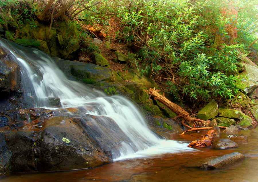 Waterfall Photograph - Base of Laurel Falls by Carolyn Derstine