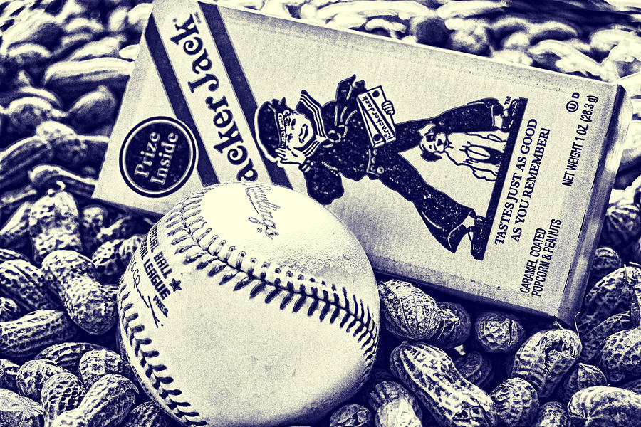 Baseball Blueprint Photograph by John Freidenberg