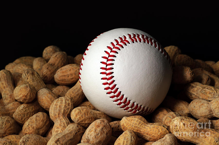 Baseball Season Photograph by Andee Design