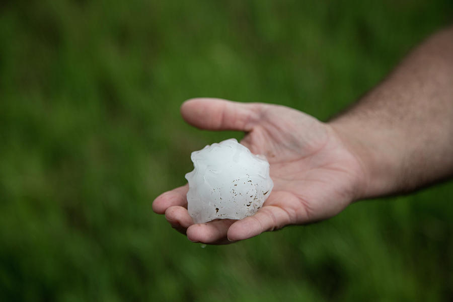Baseball-sized Hailstone Photograph by Roger Hill/science Photo Library