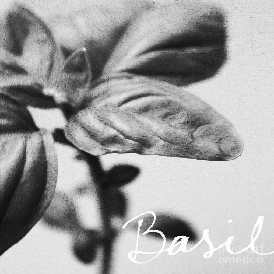 Basil Mixed Media by Linda Woods