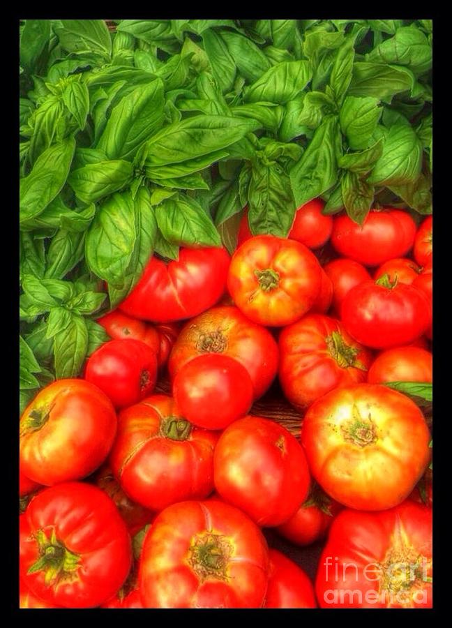 Basil Tomato Photograph by Susan Garren