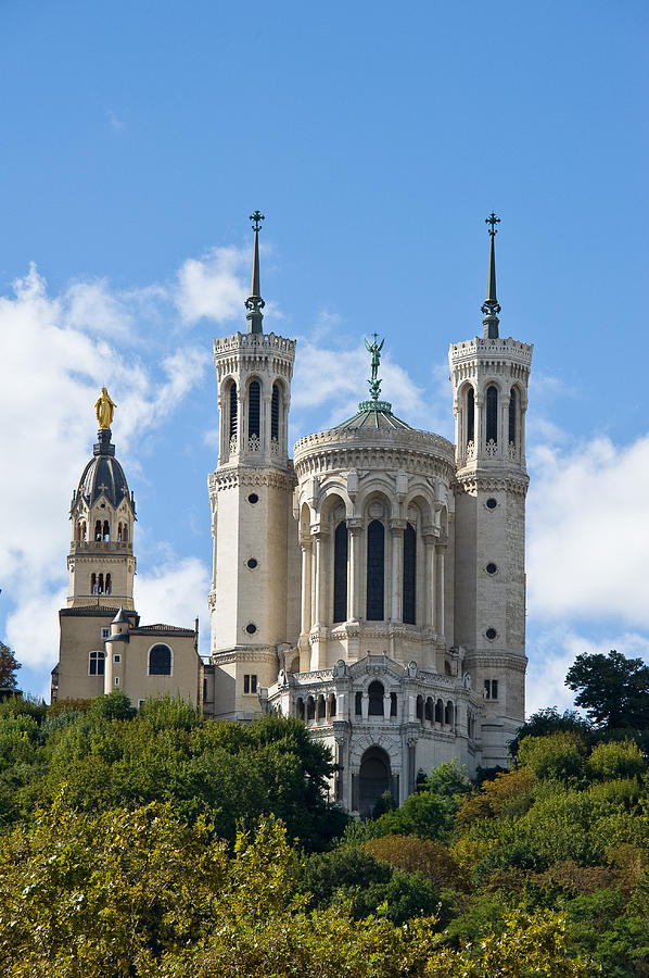 Tree Photograph - Basilica Notre Dame de Fourviere by All Around The World