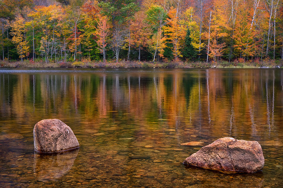 Basin Lake Photograph by Darylann Leonard Photography