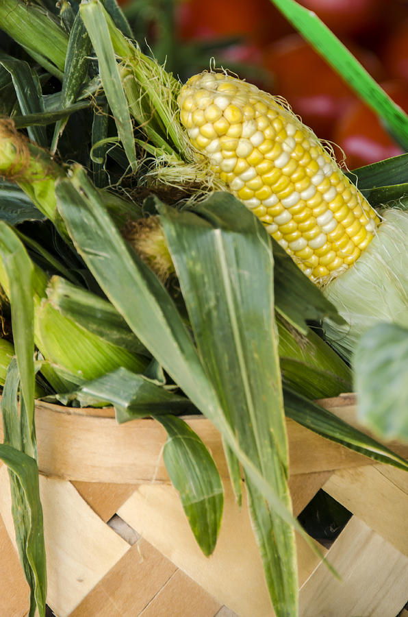 Basket Farmers Market Corn Photograph by Carolyn Marshall
