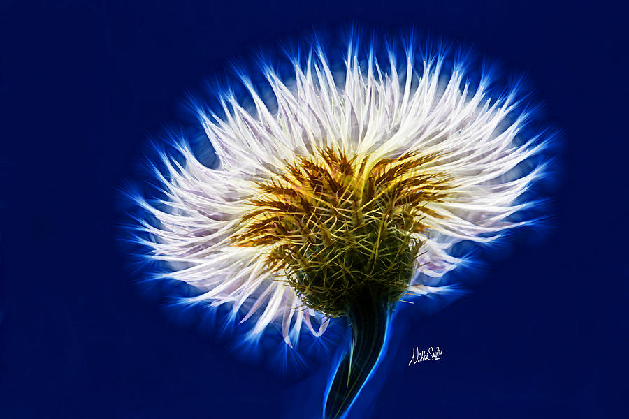 Basket Flower Inner Beauty Digital Art by Nikki Marie Smith