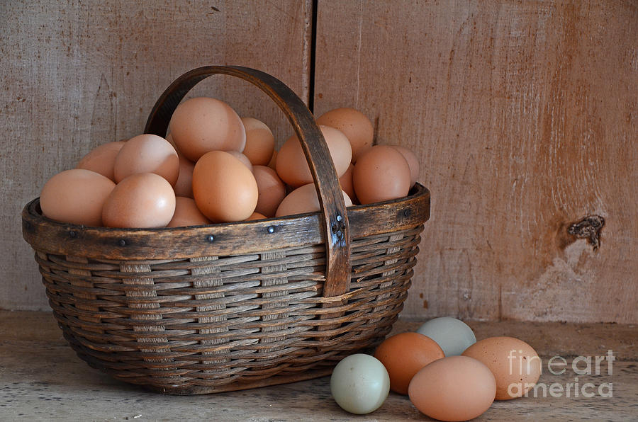 Basket Full Of Eggs Photograph by Mary Carol Story