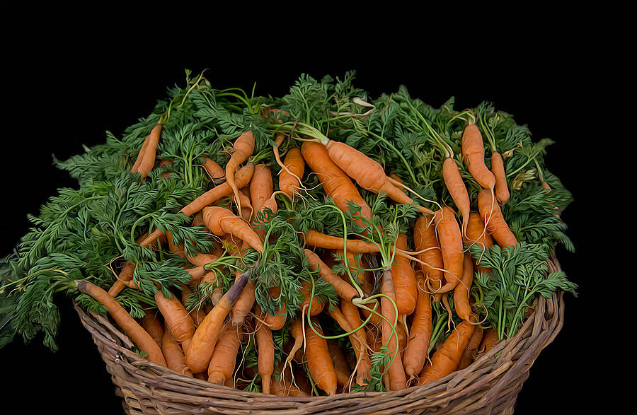 Basket of Carrots Photograph by Michael Moriarty