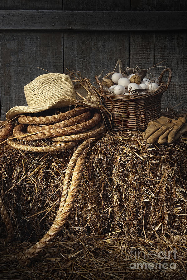 Basket of eggs on straw in the barn Photograph by Sandra Cunningham