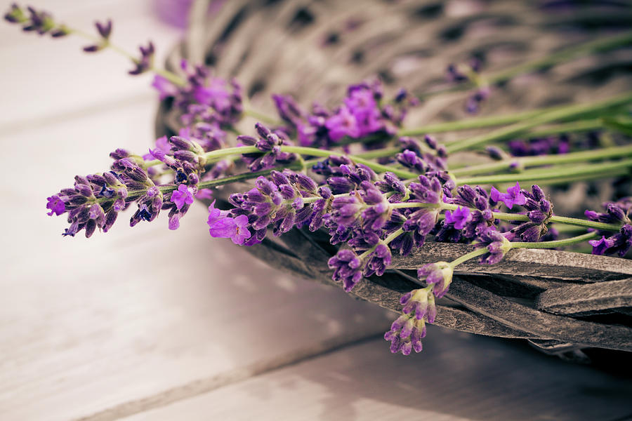 Basket Of Lavender Flowers On Wooden Photograph by Westend61