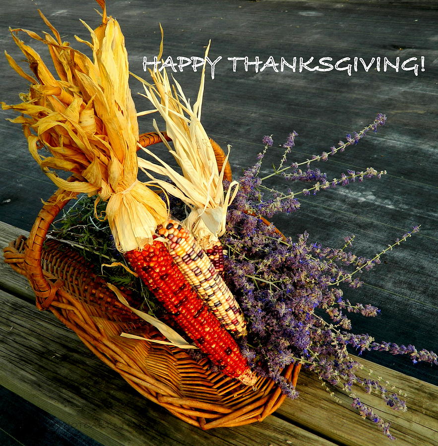 Basket of Thanks Photograph by Kathy Barney
