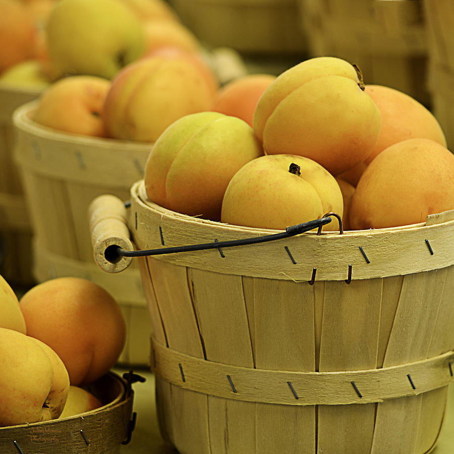 Baskets of Apricots Squared Photograph by Julie Palencia