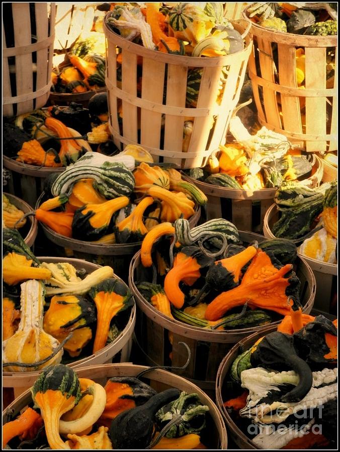 Baskets Of Gourds Photograph by Beth Ferris Sale