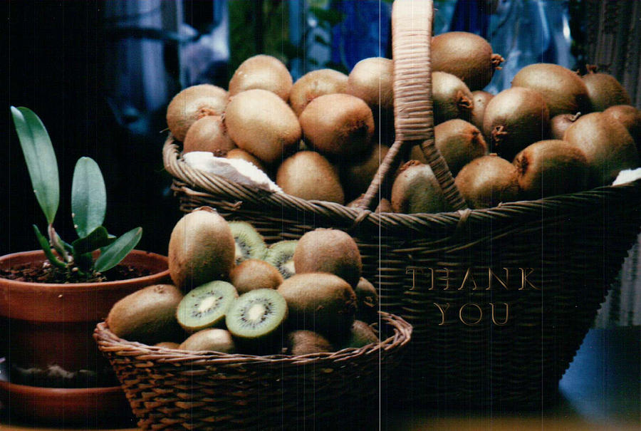 Fruit Photograph - Baskets of Kiwi and a reminder to utter the words Thank You. by Raenell Ochampaugh