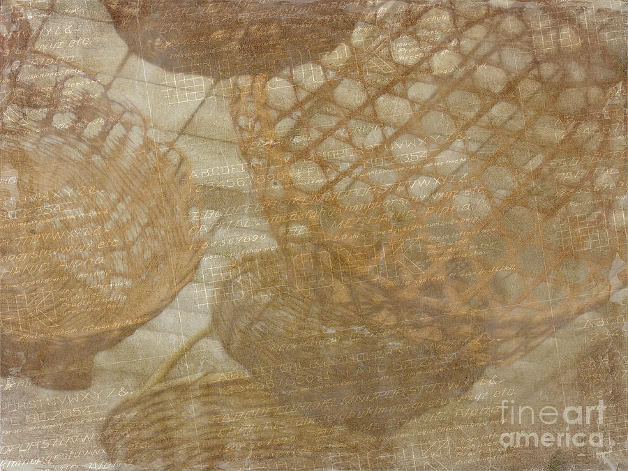 Basketweave in Brown and Beige Photograph by Judi Bagwell