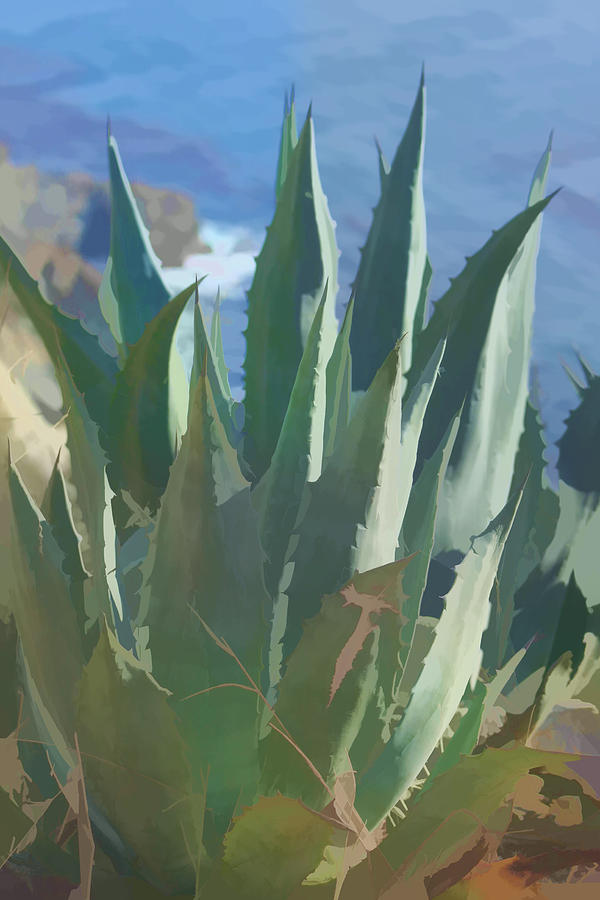 Basking Agave Digital Art by Joanne Ehrich - Fine Art America