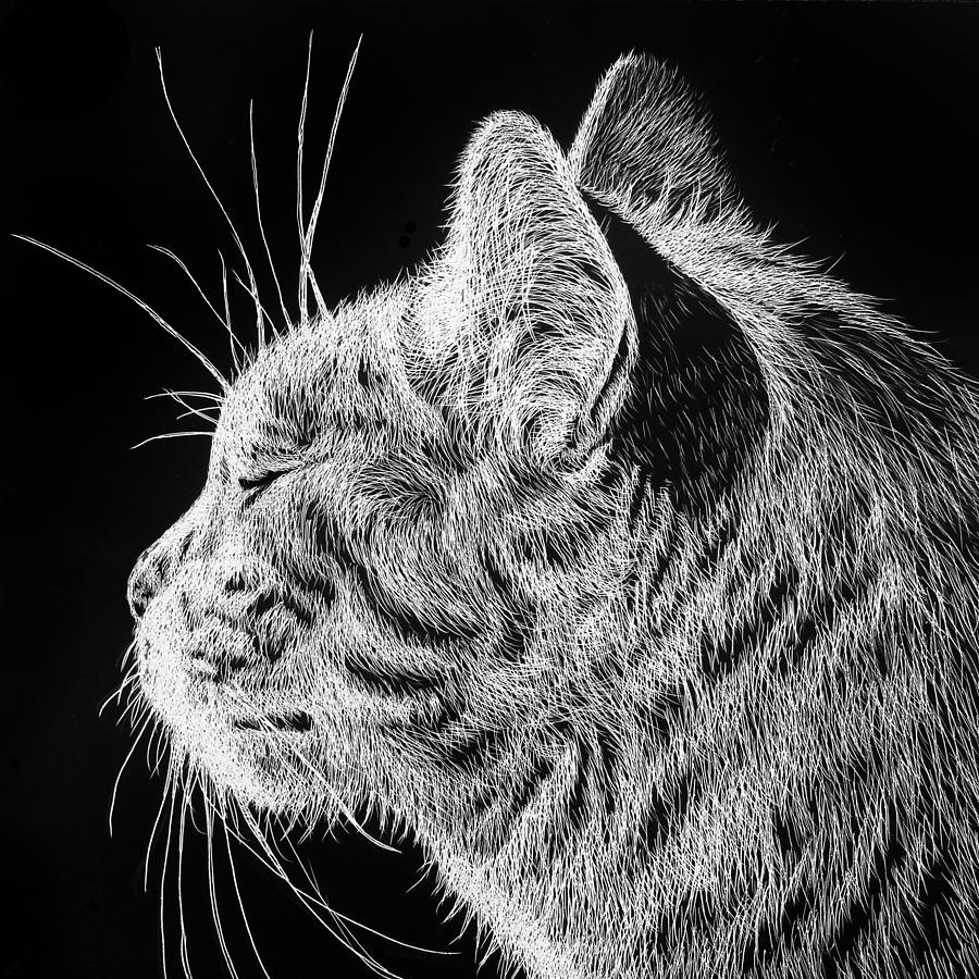 Basking II Drawing by Monique Morin Matson - Fine Art America