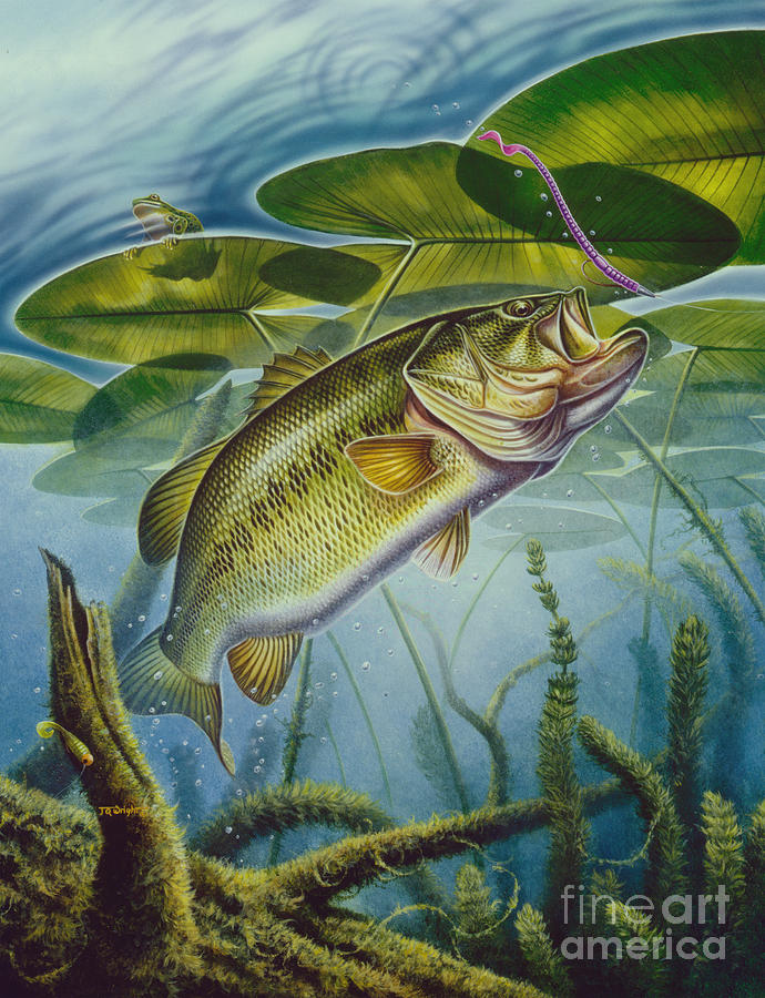 Fish Painting - Bass and Frog by JQ Licensing