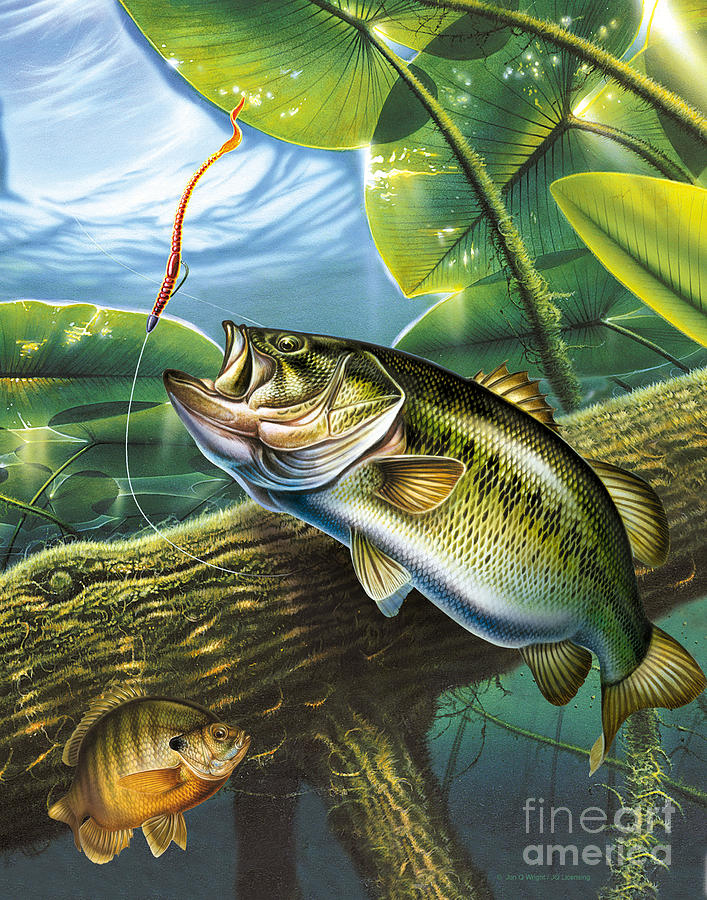 Fish Painting - Bass and Pads by JQ Licensing