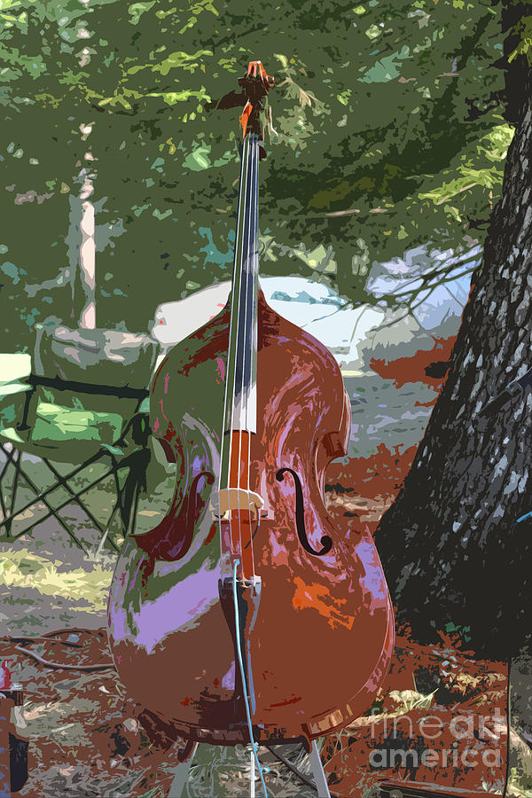 Bluegrass Upright Photograph by Andre Turner
