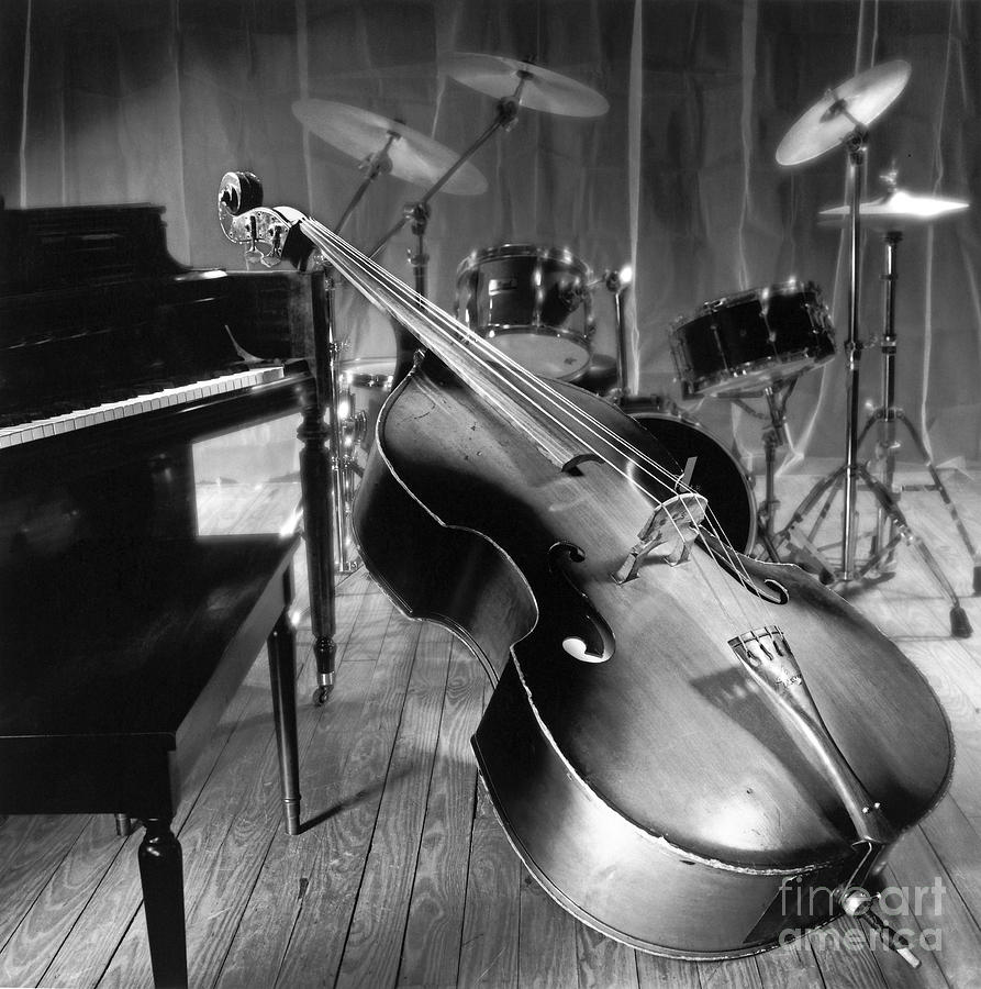 Bass Photograph - Bass fiddle by Tony Cordoza