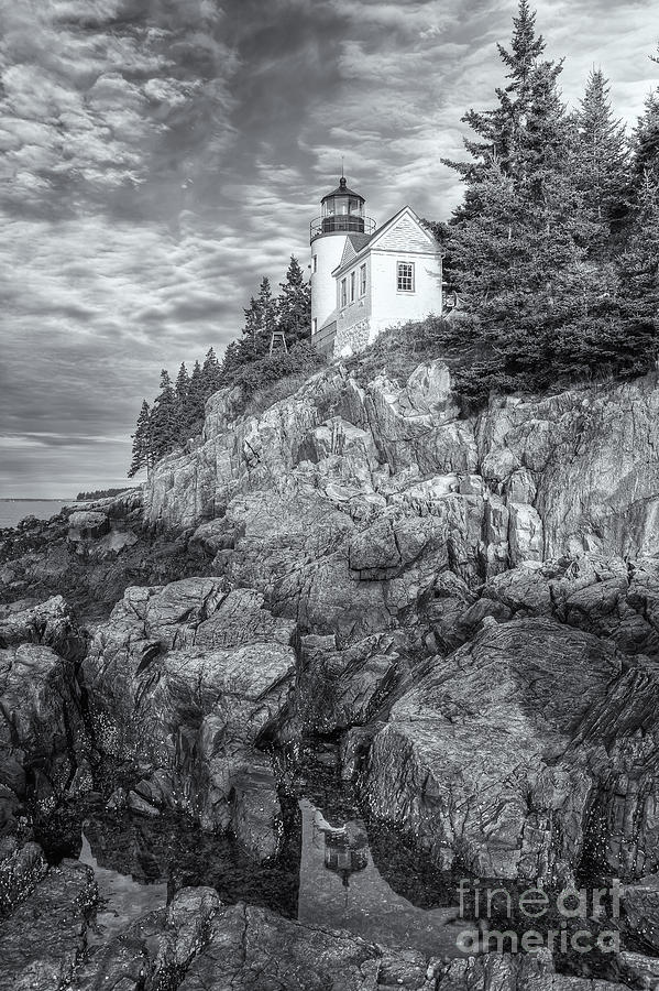 Bass Harbor Head Light IV Photograph by Clarence Holmes