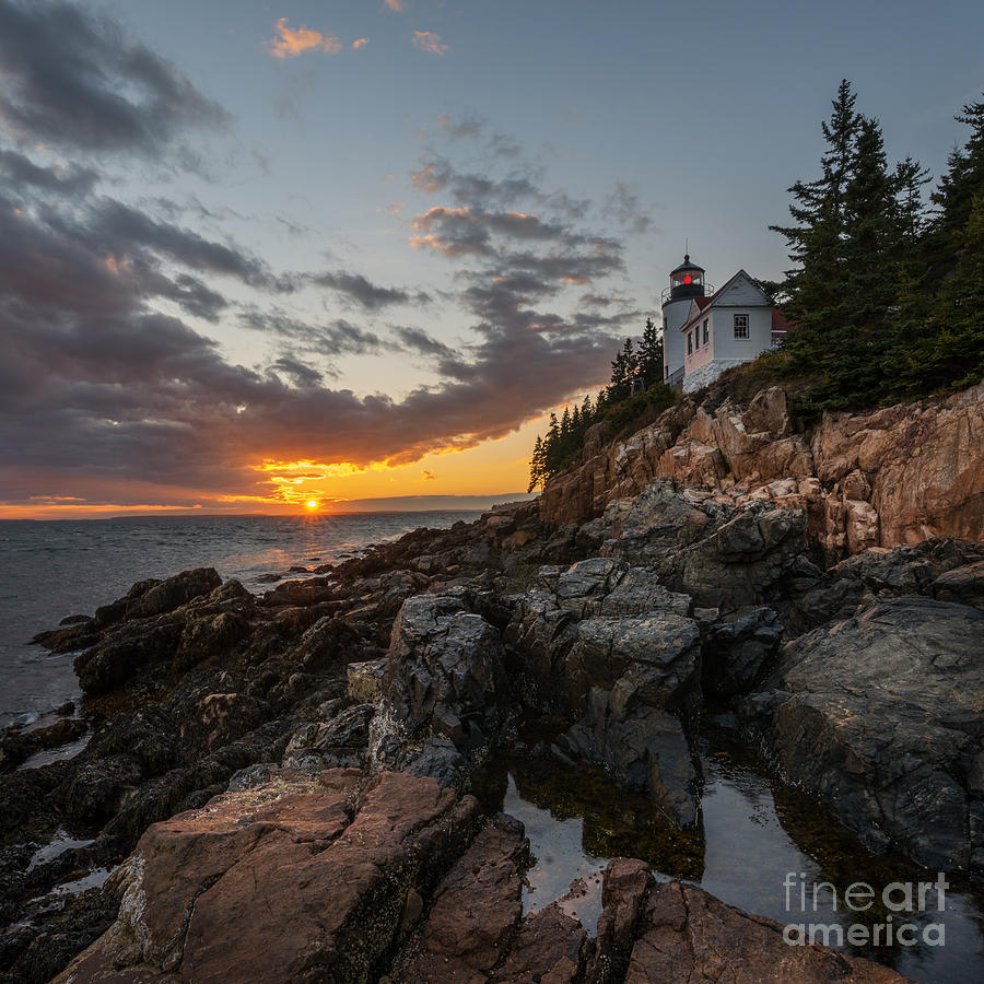 Acadia National Park Photograph - Bass Harbor Head Light Squared by Michael Ver Sprill