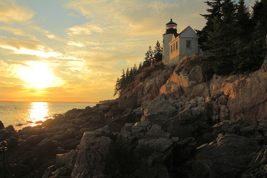 Bass Harbor Head Lighthouse Maine USA Photograph by Gary Corbett