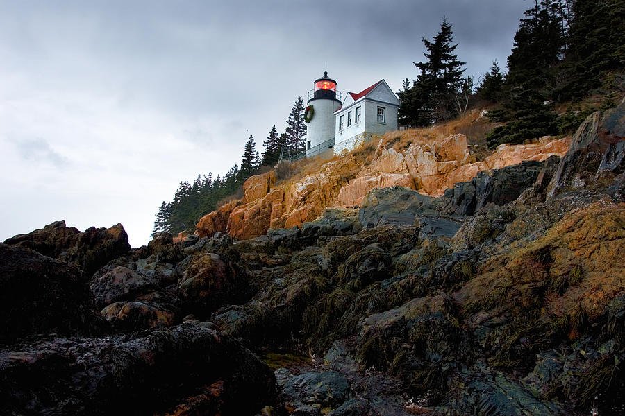 Bass Harbor Light at Christmas Photograph by Brent L Ander
