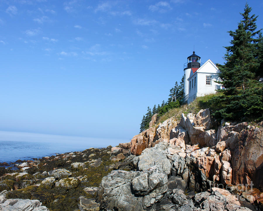 Bass harbor lighthouse Photograph by MyWildlifeLife Dot Com - Fine Art ...