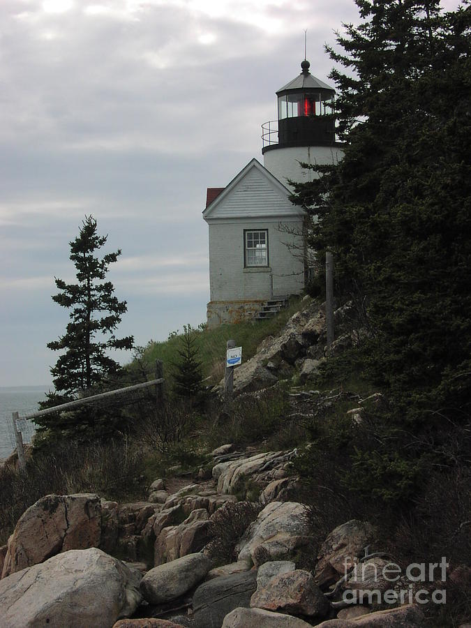 Bass Harbor Lighthouse - Maine Photograph by John Greco