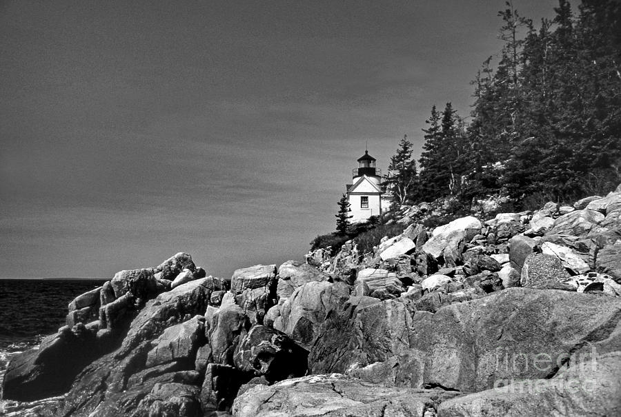 Bass Harbor Lighthouse Photograph by Skip Willits