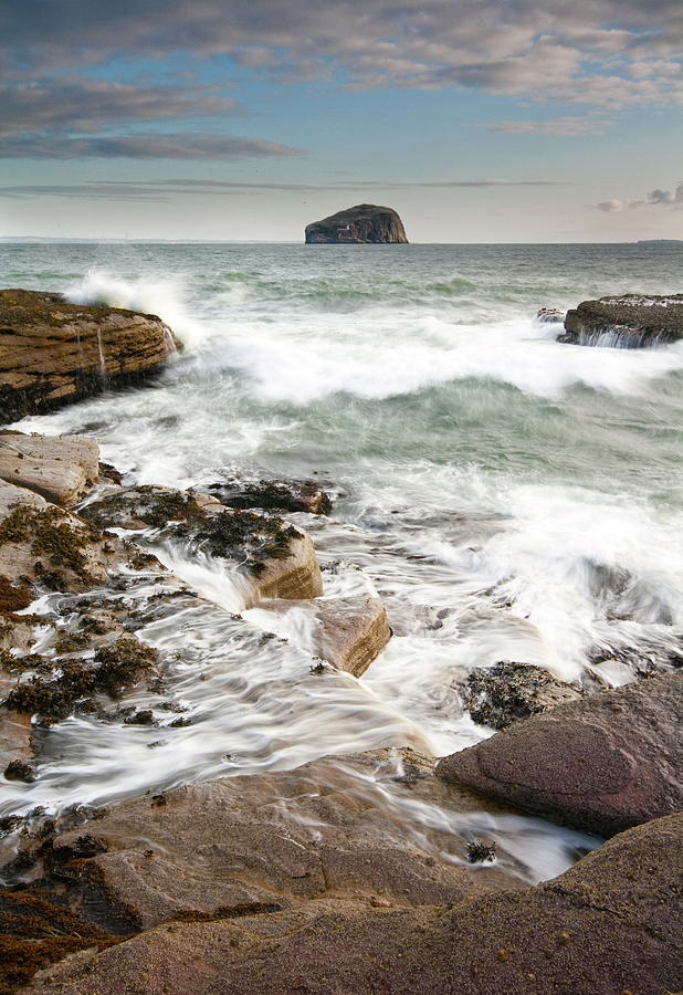 Bass Rock Photograph by Daniel Davison