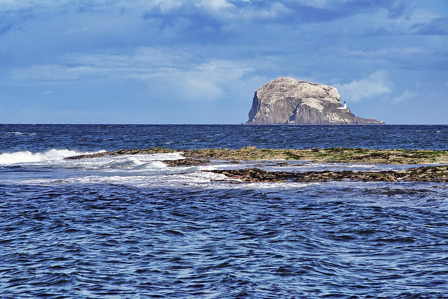 Bass Rock Photograph by Jason Politte