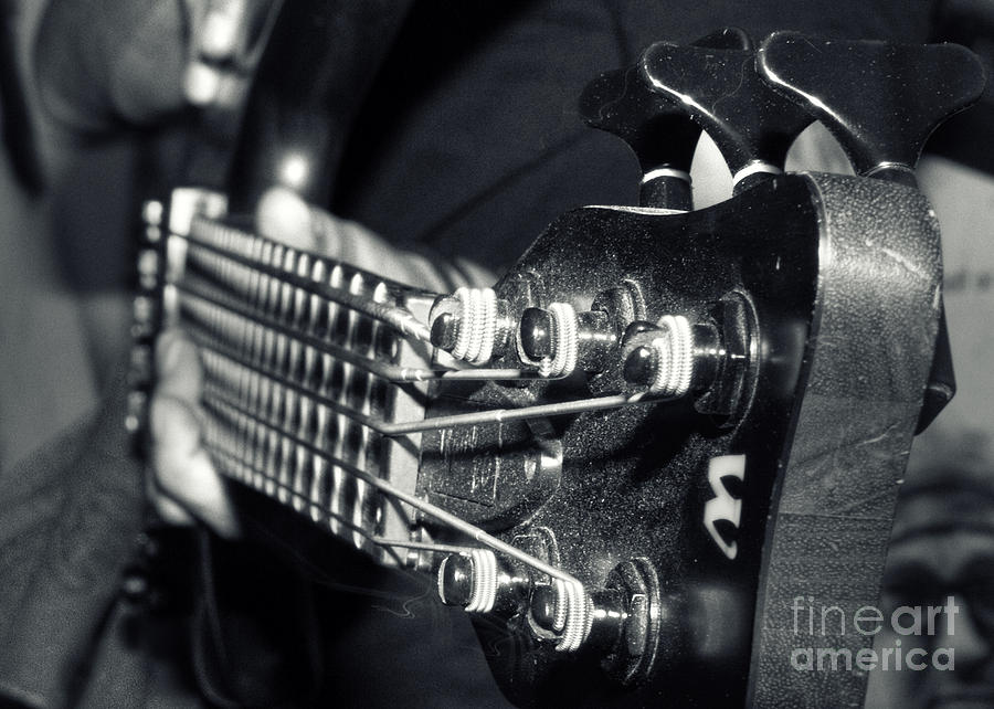 Bass Photograph - Bass  by Stelios Kleanthous