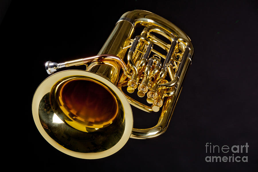 Bass Tuba Brass Instrument Photo in Color 3396.02 Photograph by M K Miller