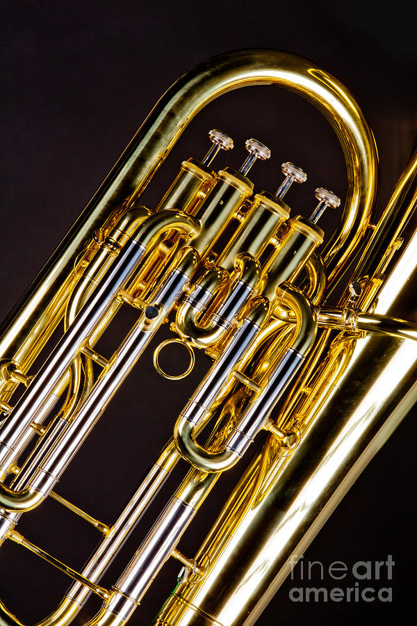 Bass Tuba Brass Instrument Valves Photo in Color 3395.02 Photograph by M K Miller