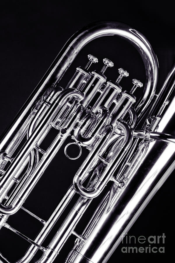 Bass Tuba Brass Instrument Valves Photo in Sepia 3395.01 Photograph by M K Miller