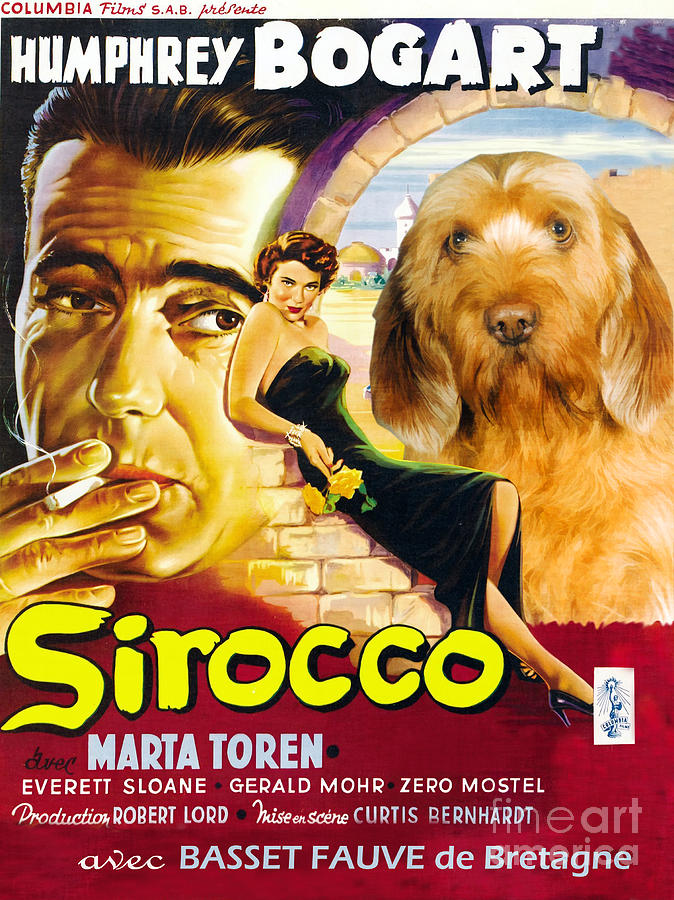 Dog Painting - Basset Fauve de Bretagne - Fawn Brittany Basset Art Canvas Print - Sirocco Movie Poster by Sandra Sij