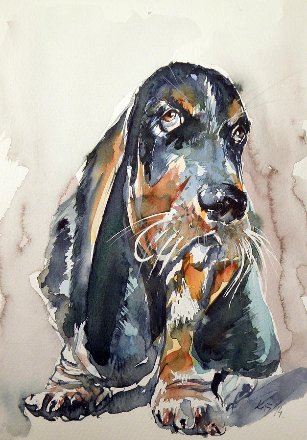 Dog Painting - Basset hound by Kovacs Anna Brigitta