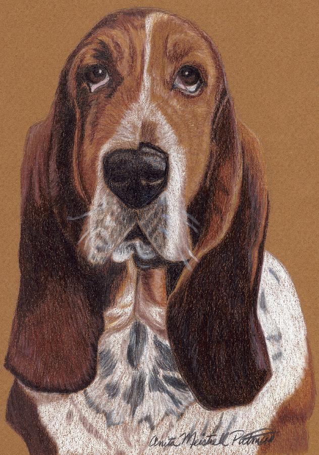 Basset Hound Vignette Drawing by Anita Putman