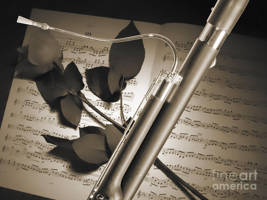 Bassoon Music Instrument Photograph in Sepia 3406.01 Photograph by M K Miller